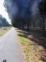 P1000992