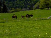 2021_Jura-064