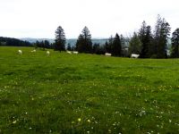 2021_Jura-073