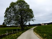 2021_Jura-076